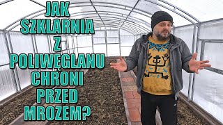 Jak szklarnia z poliwęglanu chroni przed mrozem Jaka temperatura 4mm czy 6mm poliwęglan lepszy [upl. by Rochette]