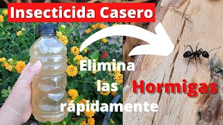 👉COMO ELIMINAR LAS HORMIGAS DE MIS PLANTAS 🐜  Insecticida CASERO para ELIMINAR PLAGAS  INSECTICIDA [upl. by Pantheas]