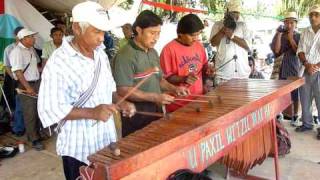 Marimba maya groupe quotSan Antonioquot Belize 042010MOV [upl. by Eam]