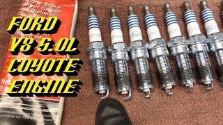 20112017 Ford F150 amp Mustang 50L Coyote Engine Spark Plug Replacement Procedure [upl. by Egiaf741]