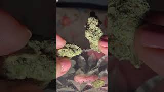 Sunburn Sanctuary Flower Review on Trop Top Truffle twostep and Bittersweet strains [upl. by Nine]