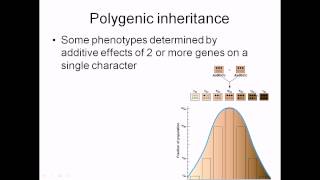 Polygenic inheritance [upl. by Liborio]