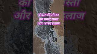 wall dampness treatment  wall damp repair  wall damp proof asian paints shorts dampness repair [upl. by Letitia]