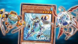 New Fishborg Harpooner Combos YuGiOh TCG [upl. by Egin]