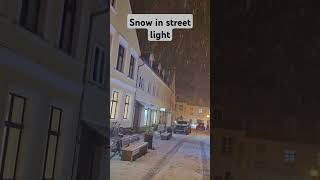 Snow in Greifswald snow schnee nature greifswald germany shorts shortsvideo [upl. by Auoy]