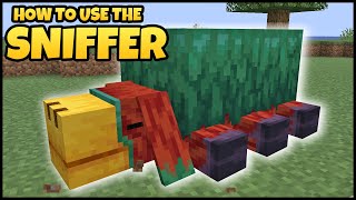 How To Use The SNIFFER In MINECRAFT [upl. by Aligna]