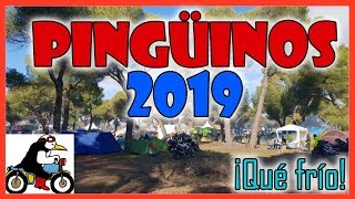 Pingüinos 2019 MOTOS DIVERSIÓN Y MUCHO FRÍO [upl. by Petrick144]