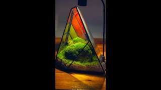 DIY tutorial Create a mountain landscape withmoss in a stainedglass Rainbow ice peak terrarium [upl. by Noirad]