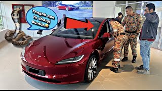 💢ULAR TEDUNG ABANG BOMBA TESLA😅CELORENG BOMBA [upl. by Jarlen]