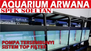 AQUARIUM ARWANA SPEK SOELTAN TERLENGKAP BERGARANSI [upl. by Nivahb631]