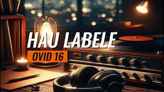 Ovid 16  Hau Labele Lirik Musik Video [upl. by Allerym]