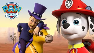 ¡La Patrulla de Cachorros salva a Humdinger del Rodeo  PAW Patrol Español  Patrulla de Cachorros [upl. by Ivatts]