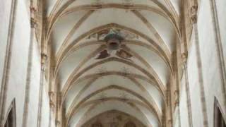 Evangelische Domkirche  Ulm Deutschland  Orgel [upl. by Dnalevelc]