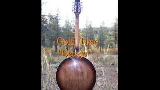 quotKemps Jigquot Octajo doublestrung tenor banjo [upl. by Micheline]