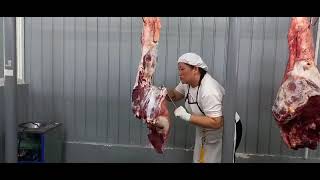 Breakdown of a hind part of beef carcass [upl. by Sirc]