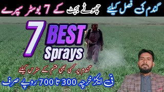 best foliar fertilizer for wheat crop  Low budget foliar plan boosters for wheat Arshad Ali [upl. by Atinuhs]