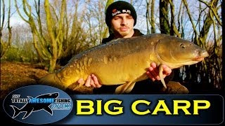 Winter fishing tips for BIG CARP  TAFishing Show [upl. by Mooney]