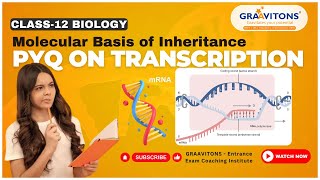 Transcription and mRNA processing  Biomolecules  Class 12 [upl. by Horgan]