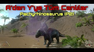 Adan Yye Ark Mobile Canlıları  Pachyrhinosaurus P2 [upl. by Adnih]