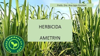 HERBICIDA AMETRYN [upl. by Keven746]