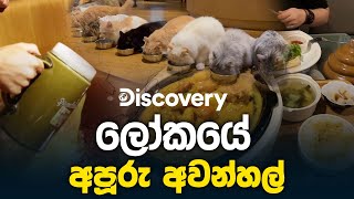 ලෝකයේ අපූරු අවන්හල්  Discovery  PEOTV [upl. by Oiratno]