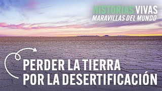 ¿El 40 de la tierra AMENAZADO por la desertificación  Historias Vivas  Documental de naturaleza [upl. by Anibor]