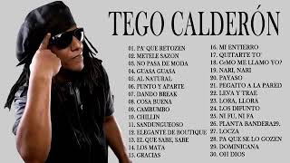 Tego Calderon Exitos Mix Lo MEJOR EXITOS 2022 [upl. by Eeliab]