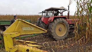 Schlüter John Deere Vintage Corn🌽 Silage Day 2024 Lots of Great Machinery in the field chopping corn [upl. by Corty702]