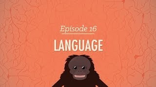 Language Crash Course Psychology 16 [upl. by Keviv]