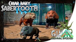 ARK Survival Evolved  Como Criar Baby SABERTOOTH [upl. by Soisatsana]