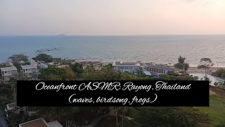 Oceanfront ASMR Rayong Thailand  waves birdsong frogs 🪷 [upl. by Jenelle]