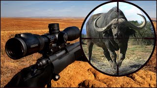 Thinking of Hunting Africa  WATCH THIS [upl. by Anaiviv]