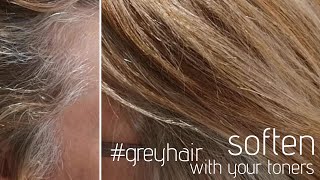 how to TONE highlights to BLEND grey hair [upl. by Nerval494]