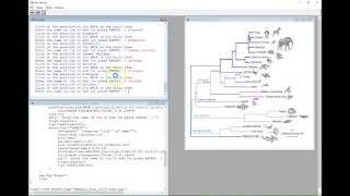 Demo of phytools tree drawing function [upl. by Trip]