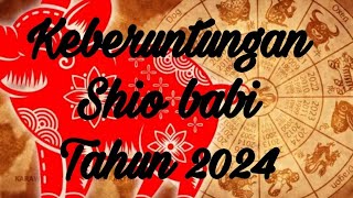 Keberuntungan Shio Babi Tahun 2024 [upl. by Aital]