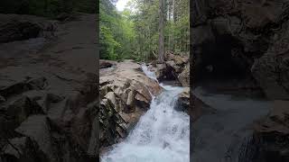 BEAUTIFUL Hiking in New England shorts travel nature [upl. by Nairred]