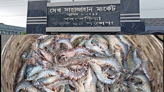 সরবেড়িয়া‌ মাছের বাজার ।।sorbaria fish market ।।🐟🐟।।part2 [upl. by Cohby]