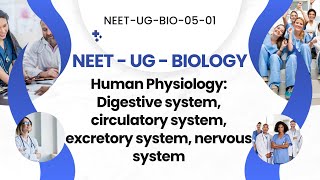 NEET Biology Quiz Human Physiology  Digestive Circulatory Excretory amp Nervous Systems [upl. by Arebma]