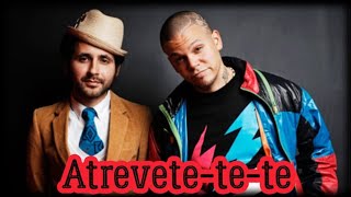 Calle 13  Atrévete  House Remix [upl. by Acinomad]