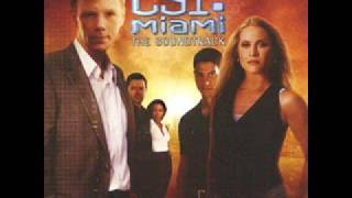 CSI MIAMI Original Theme [upl. by Jacklyn844]