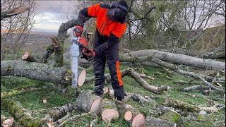 Cutting firewood with Stihl MS261 CM Chainsaw [upl. by Ergener]