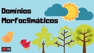 GEOGRAFIA Domínios morfoclimáticos Resumo [upl. by Eldrida376]