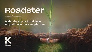 Stingray Ascophyllum nodosum Mais vigor produtividade e qualidade para as plantas [upl. by Satsoc]