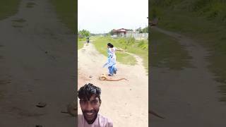 Sap ne kiya ek mahila per attack funny comedy funnyvideo [upl. by Ahsina]