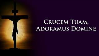 Crucem Tuam Bicol Liturgical Mass Songs Lent [upl. by Halie]