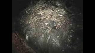 Elephants foot Inside the Chernobyl Nuclear Power Plants shelter Sergey Koshelev video [upl. by Kreiker958]