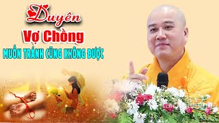 Vợ Chồng Gặp Nhau Kiếp Này Là Do Duyên Nợ  Thầy Thích Pháp Hòa [upl. by Danczyk]