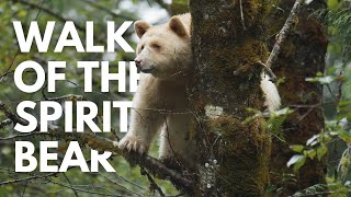 Walk Of The Spirit Bear [upl. by Farny37]