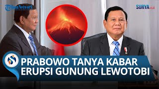 Jauh di Amerika Prabowo Tetap Pantau Penanganan Erupsi Gunung Lewotobi Bagaimana Kabarnya [upl. by Thill]