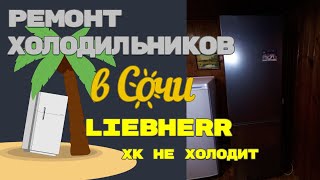 Холодильник Liebherr не работает холодильная камера [upl. by Haissem]